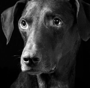 山田拓也のクリエイティブ・アートのギャラリー