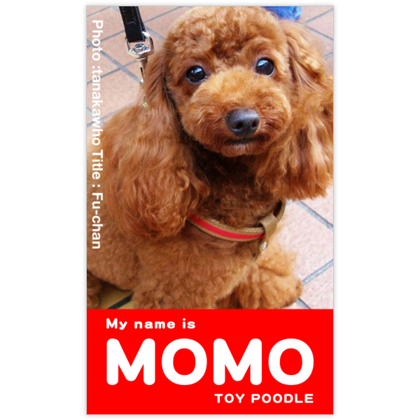 ファンシー_犬_1の名刺デザイン作成と印刷