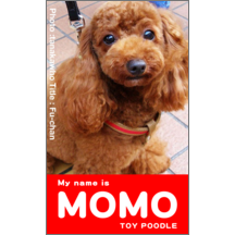 ファンシー_犬_1-1169