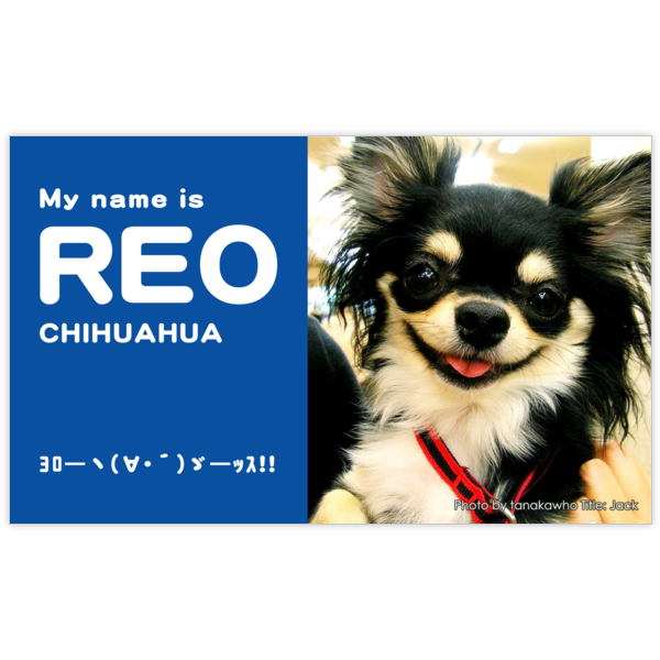 ファンシー_犬_2の名刺デザイン作成と印刷