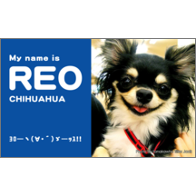 しながわデザイン室の作品発表：名刺の作成と印刷：ファンシー_犬_2