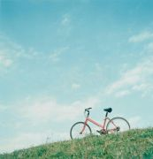 岡　大作のクリエイティブ・アートのギャラリー