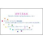 ぱすてるままさんのギャラリー