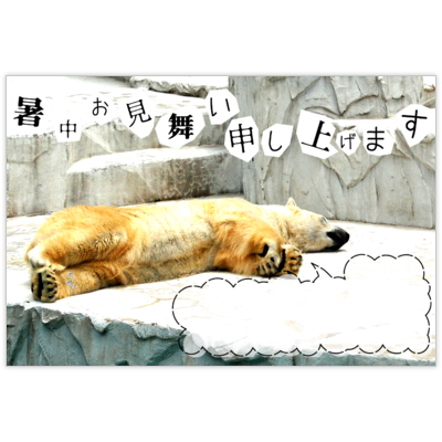 はがき・DM・ポストカードの作成と印刷：暑中お見舞い～しろくまくん