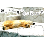 カムマサの作品発表：はがき作成とDM印刷：暑中お見舞い～しろくまくん