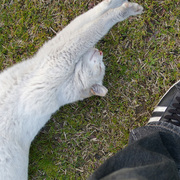 ふくすけのクリエイティブ・アートのギャラリー