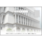 ４ｂｉｒｄさんのギャラリー