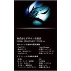 ４ｂｉｒｄさんのギャラリー