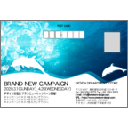 ４ｂｉｒｄさんのギャラリー