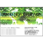 ４ｂｉｒｄの作品発表：はがき作成とDM印刷：zoo