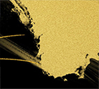 書家のクリエイティブ・アートのギャラリー