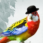 クロノのクリエイティブ・アートのギャラリー