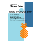 アイランダーズの作品発表：名刺の作成と印刷：トロピカル（フルーツ）