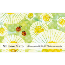 ワタナベさんのギャラリー