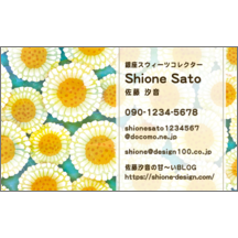 名刺作成｜ファンシー_デージー_1｜7596