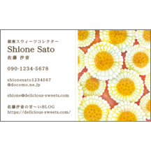 ワタナベさんのギャラリー