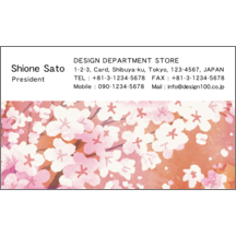 ワタナベさんのギャラリー