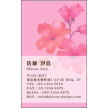 ワタナベさんのギャラリー