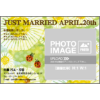 ワタナベの作品発表：はがき作成とDM印刷：てんとう虫のサンバ