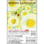 ワタナベの作品発表：はがき作成とDM印刷：てんとう虫のお誘い