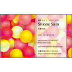 ワタナベの作品発表：名刺の作成と印刷：カラーボール