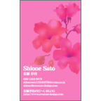 ワタナベさんのギャラリー