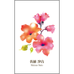 ワタナベの作品発表：名刺の作成と印刷：フラワーA