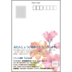 ワタナベさんのギャラリー