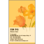 ワタナベさんのギャラリー