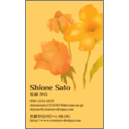 ワタナベさんのギャラリー