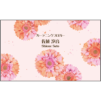 ワタナベの作品発表：名刺の作成と印刷：fl_softpink