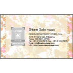 まるさんのギャラリー