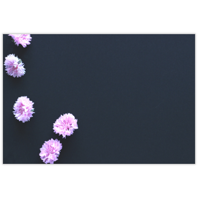 はがき・DM・ポストカードの作成と印刷：矢車草-黒背景