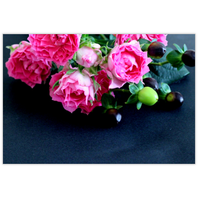はがき・DM・ポストカードの作成と印刷：ピンクローズ-黒背景