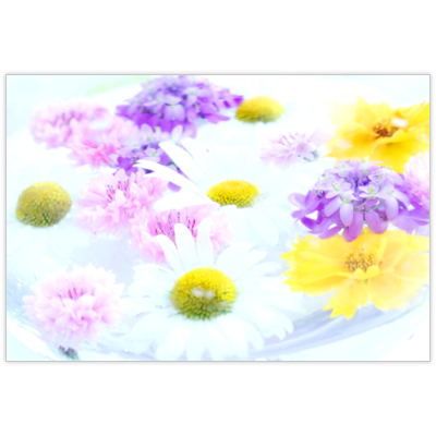 はがき・DM・ポストカードの作成と印刷：水中花