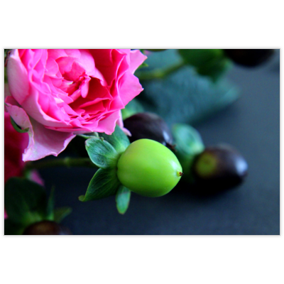 はがき・DM・ポストカードの作成と印刷：ピンクローズ２-黒背景