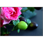 カワチヨ．の作品発表：はがき作成とDM印刷：ピンクローズ２-黒背景